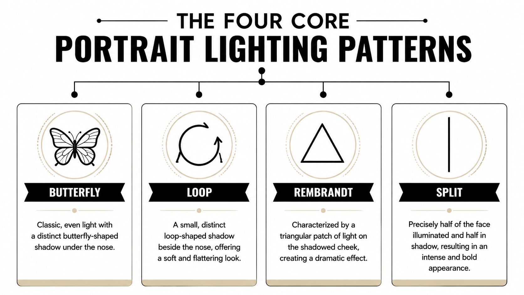 An educational infographic displaying the four core portrait lighting patterns: butterfly, loop, rembrandt, and split.