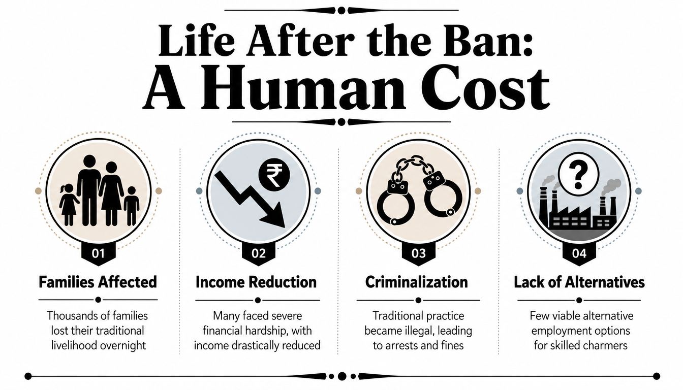 An infographic detailing the negative consequences for Indian snake charmers following a legislative ban on their practice.
