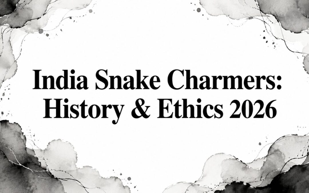 India Snake Charmers: History & Ethics 2026
