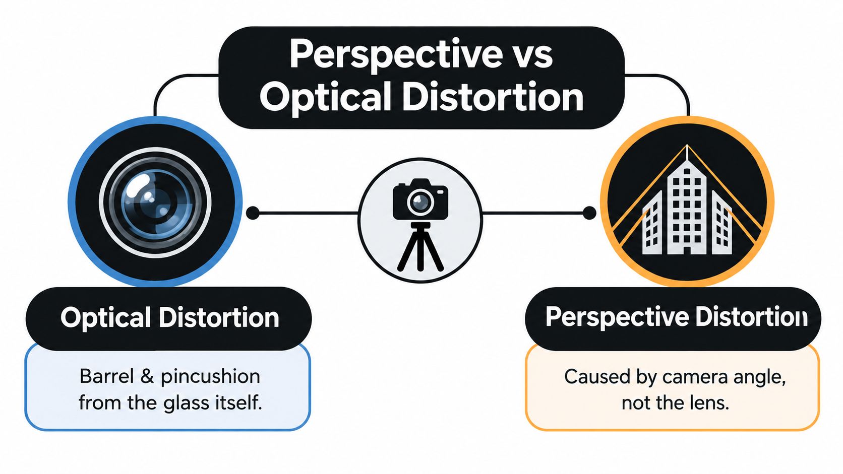 An infographic comparing optical distortion caused by lenses versus perspective distortion caused by camera angles.