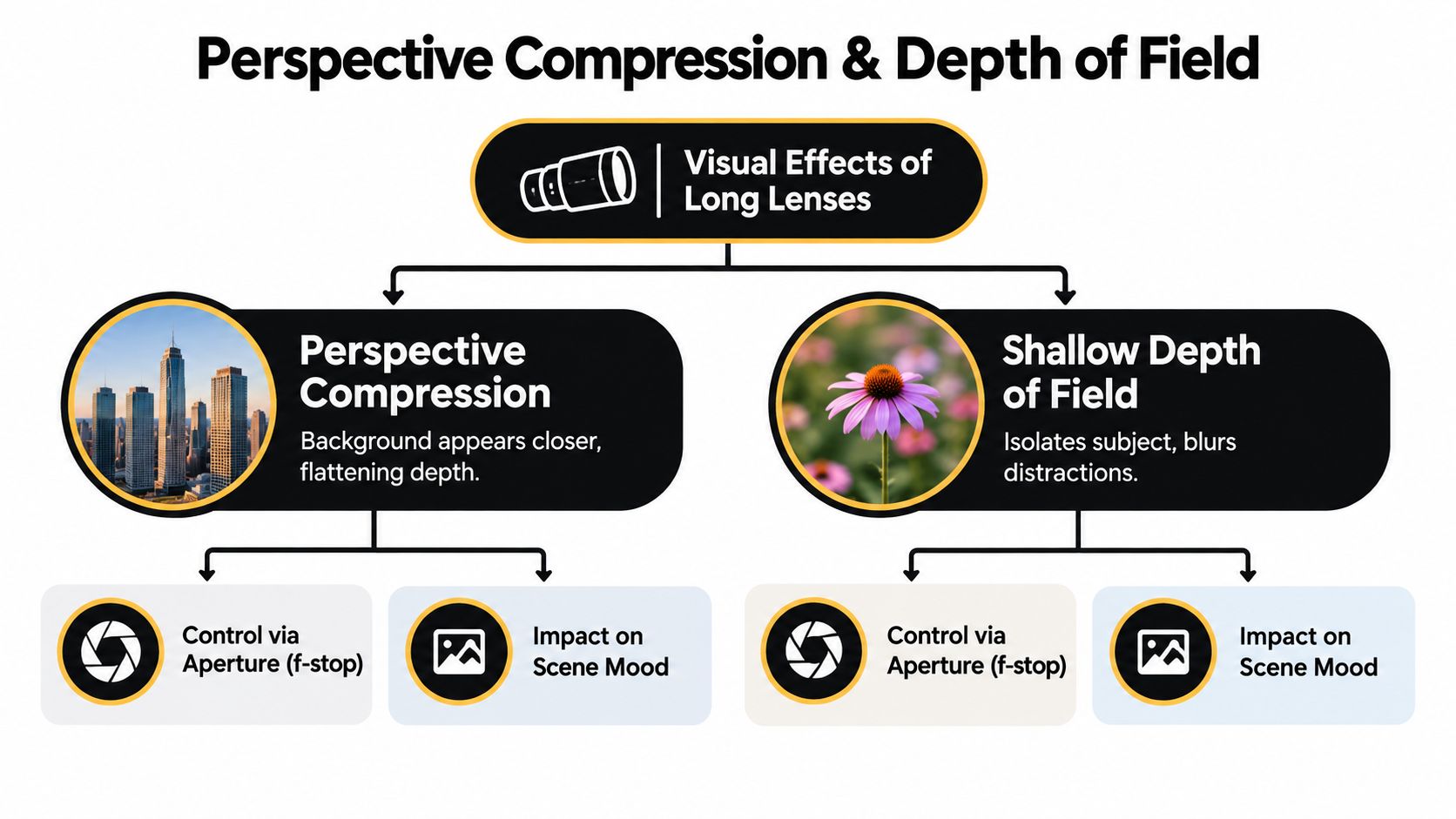 A diagram illustrating how long lenses create perspective compression and shallow depth of field effects.